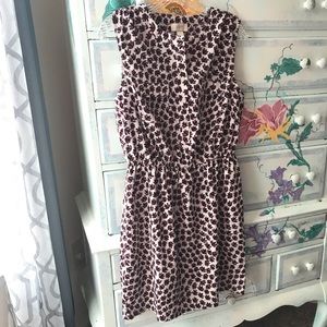 ⭐️B2G1⭐️ LOFT ACCENT DRESS